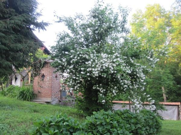 Il Mulino Di Geminella Leilighet Narzole Eksteriør bilde
